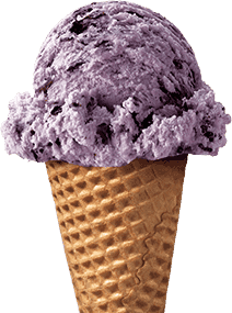 Black Raspberry Chip